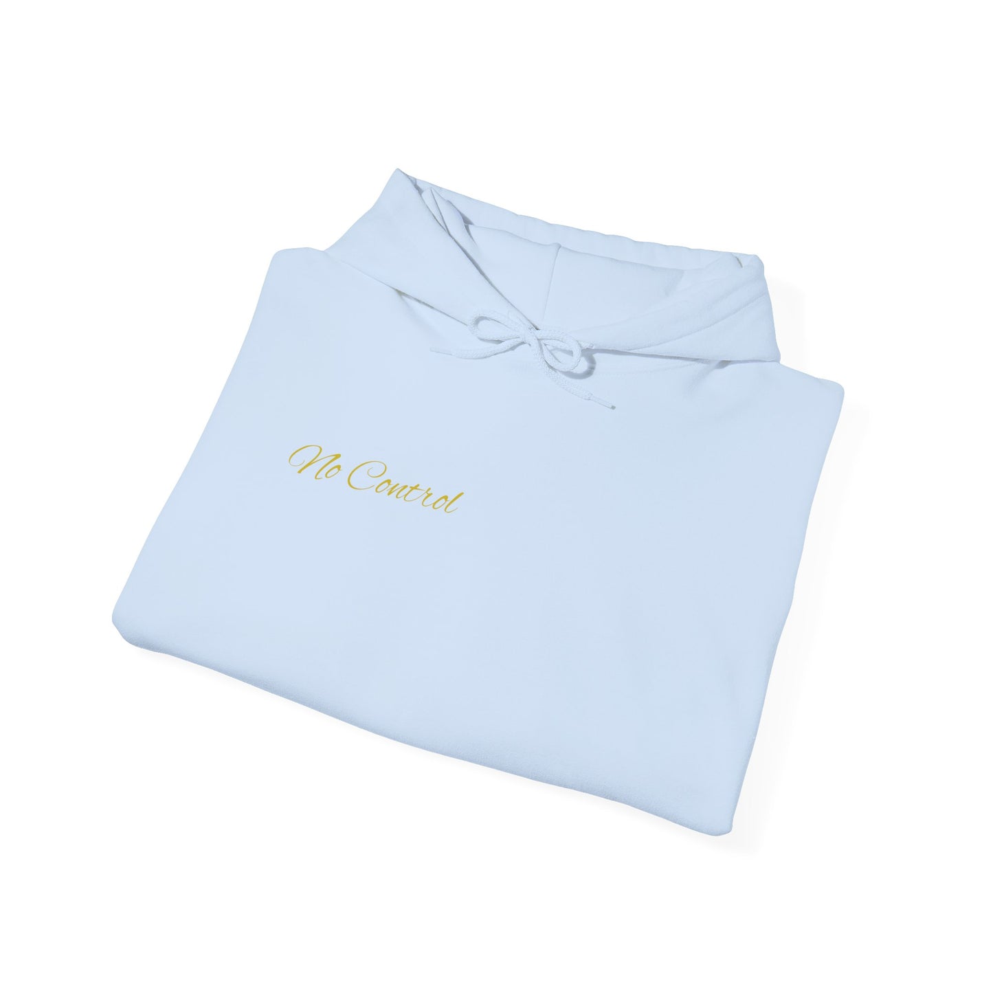 SR20DET Hoodie – "Hood Art"