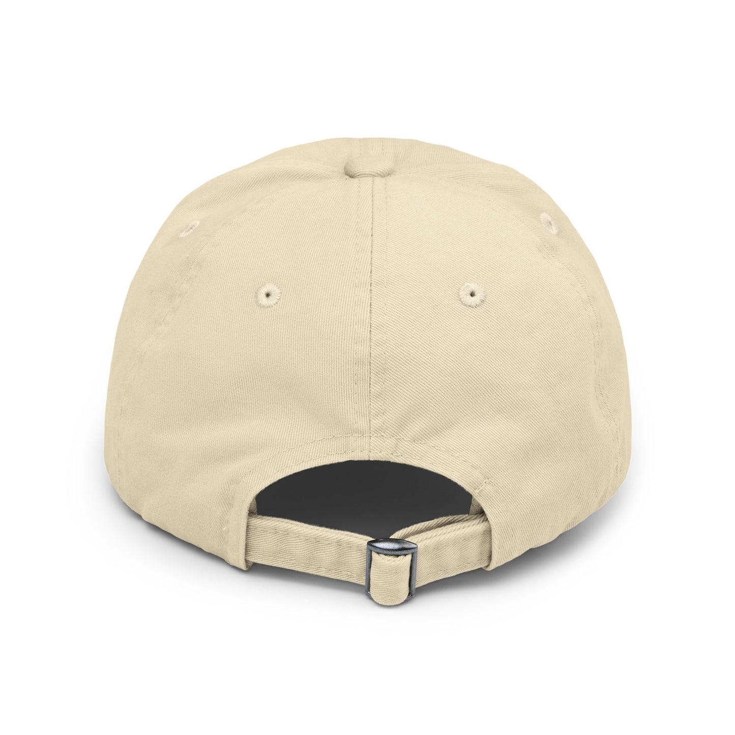 Distressed Cap 'No Control'