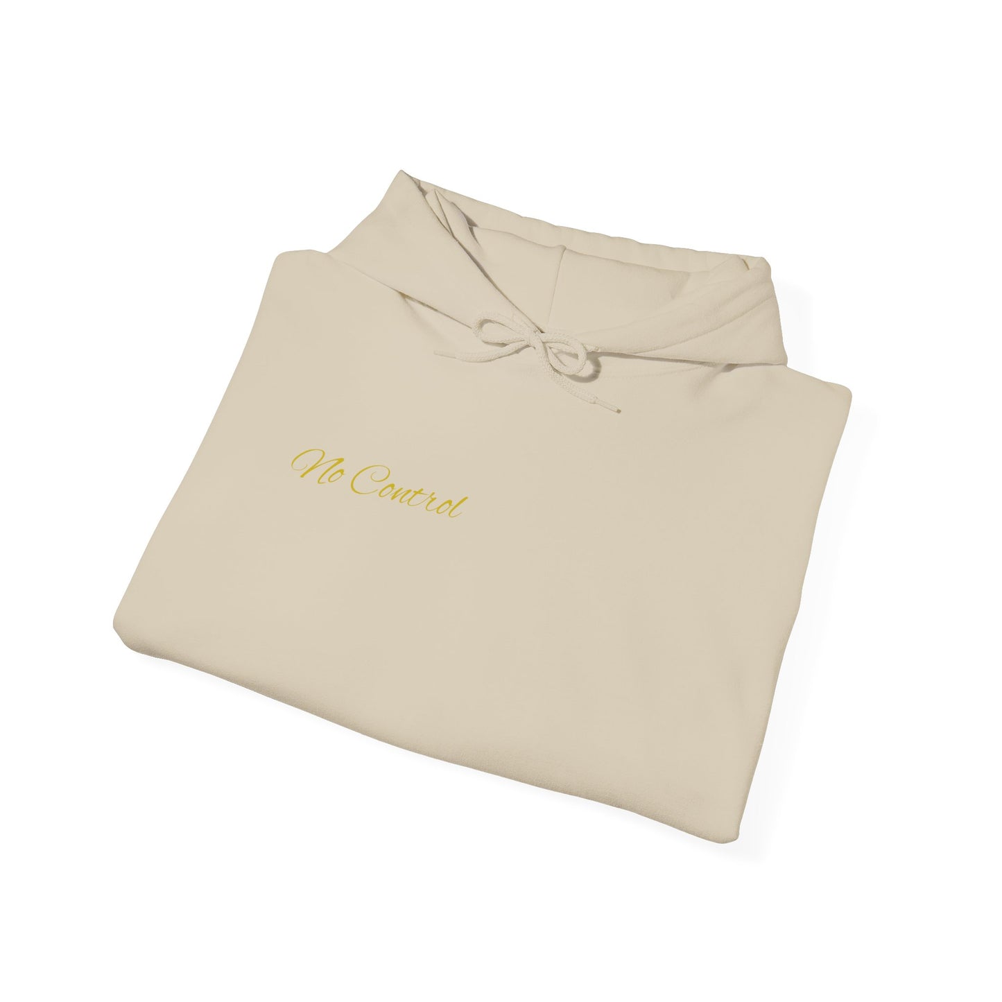 SR20DET Hoodie – "Hood Art"
