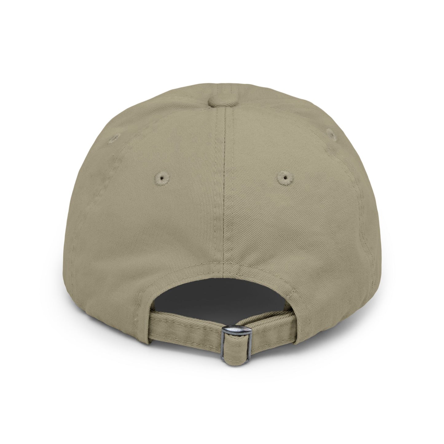Distressed Cap 'No Control'